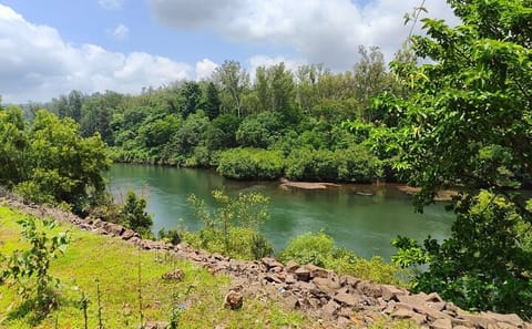 Wildlife Safari and Beach Retreat from Pune to Goa