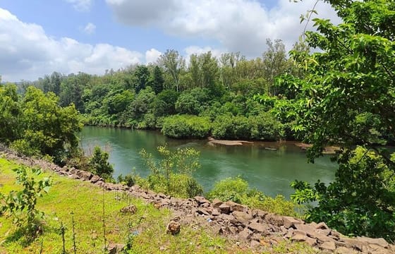 Pune to Goa: Wildlife Safari and Beach Retreat