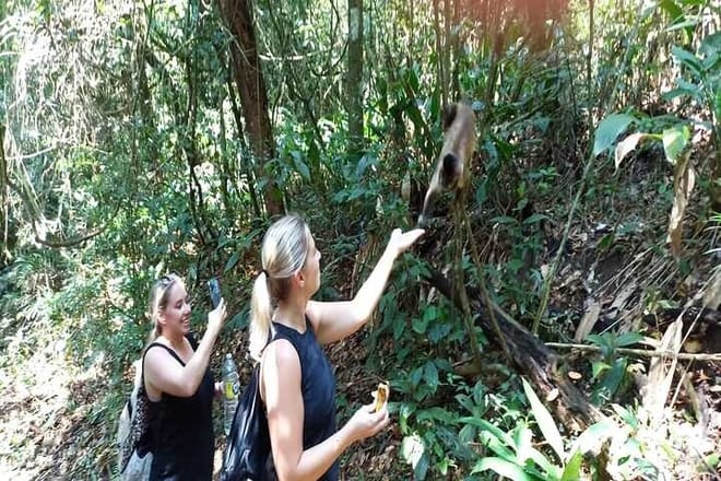 Hiking Ecotour Jaraguá Park – Incredible Rain Forest Landscapes In São Paulo photo 5