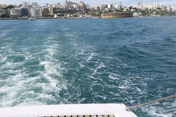 Day Trip to Frades Islands and Itaparica from Salvador