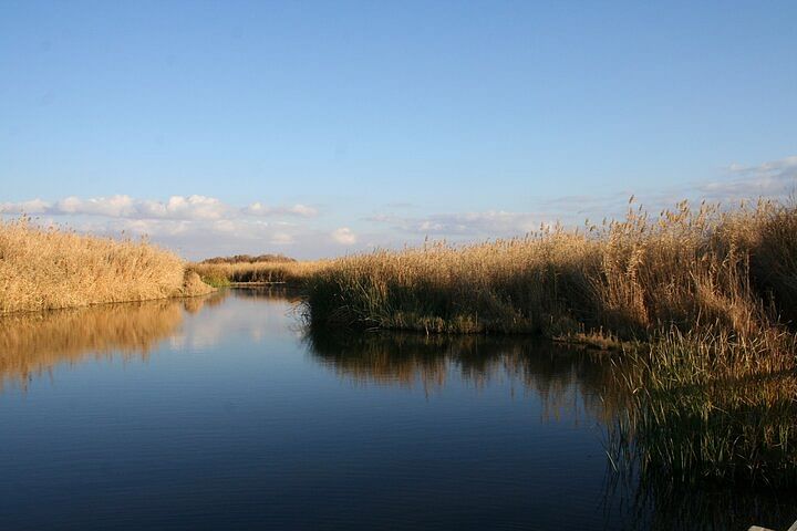 Private Wildlife Safari and Overnight at Azraq Wetland Reserve, Jordan