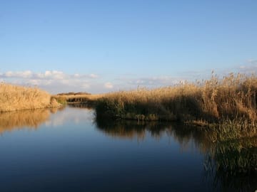 Private Wildlife Safari and Overnight at Azraq Wetland Reserve