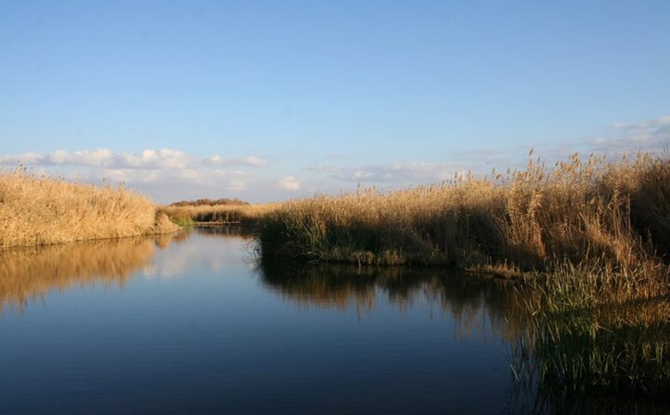 Private Wildlife Safari and Overnight at Azraq Wetland Reserve