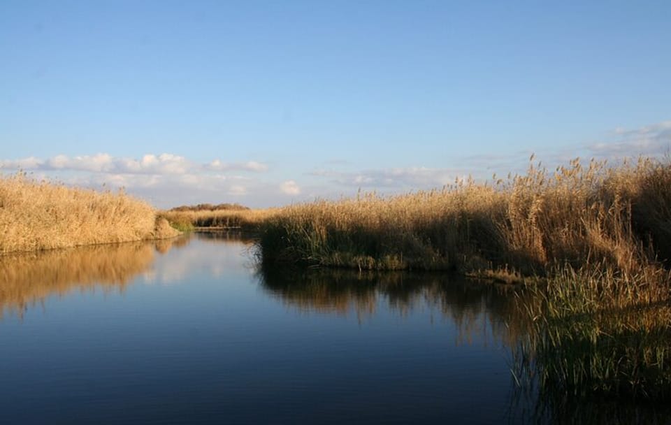 Private Wildlife Safari and Overnight at Azraq Wetland Reserve
