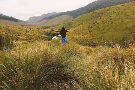 Horton Plains & Nuwara Eliya Adventure: Wildlife, Tea, and Scenic Beauty