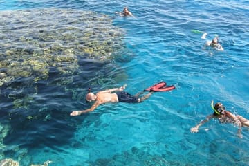 Ras Mohamed and White Island Snorkeling Tour from Sharm El Sheikh