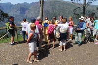Amazing Skywalk, Madeira Wine Tasting and more... Half day in Open Roof 4x4 4