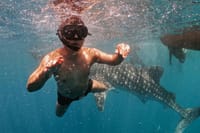 Whale Shark Adventure Day Trip from Zanzibar to Mafia Island 7