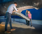 Whale Watching & Whales of Iceland Exhibition 4