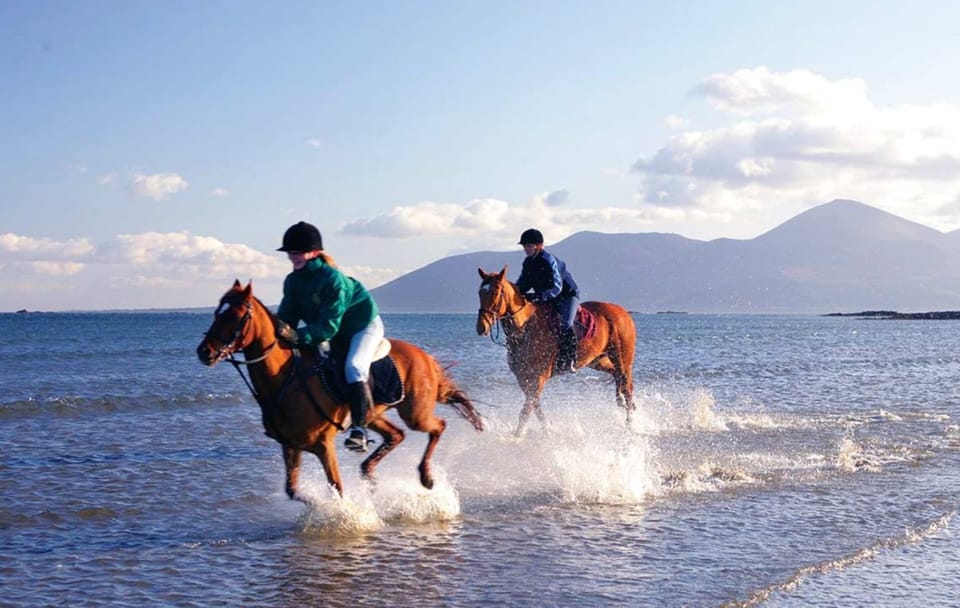 Horseback Riding Adventure with Meal in Hurghada