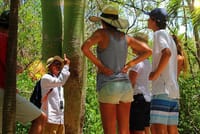 Tulum and Cenote Casa Tortuga Day Trip 9