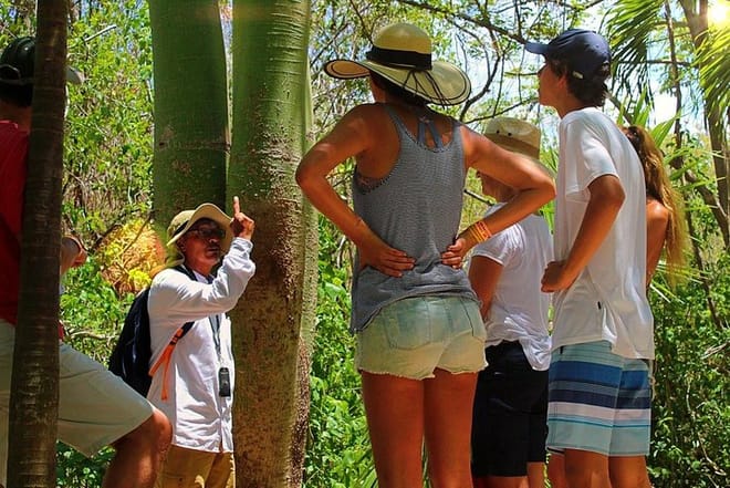 Tulum and Cenote Casa Tortuga Day Trip 9