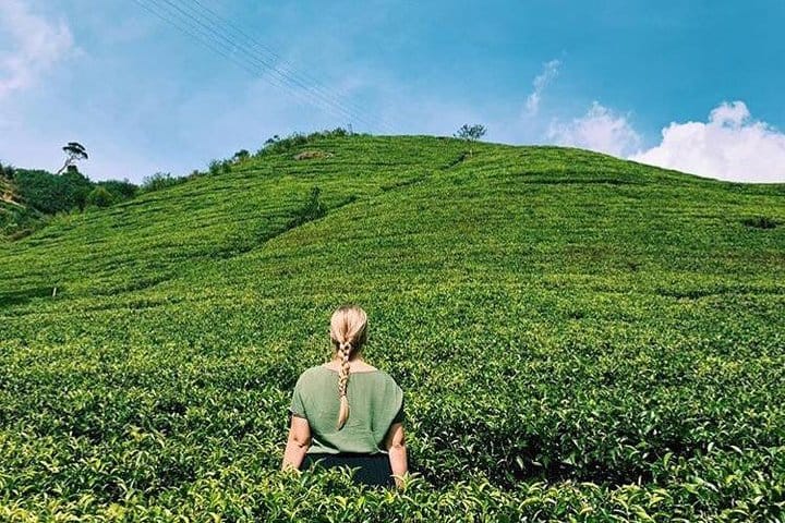 The Tea Hubs of Srilanka
