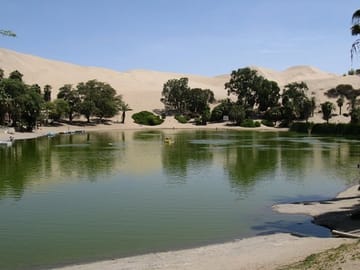 Ica Bus Station Transfer to Huacachina Oasis in Peru