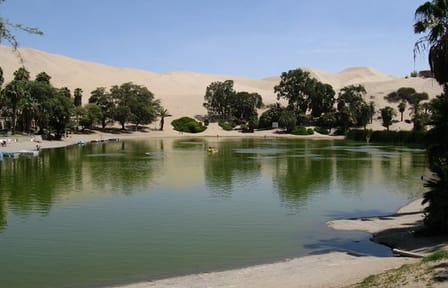 Ica Bus Station Transfer to Huacachina Oasis in Peru