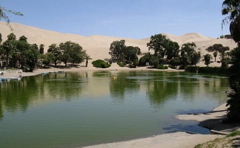 Ica Bus Station Transfer to Huacachina Oasis in Peru