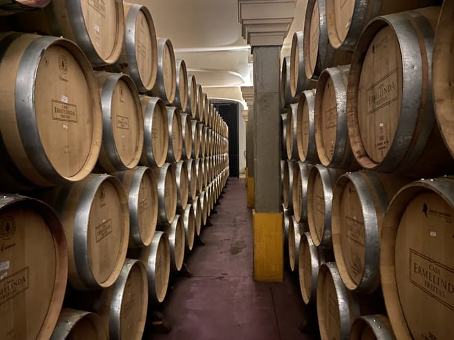 Lisbon's Northern Region Wine Tasting Private Tour 9