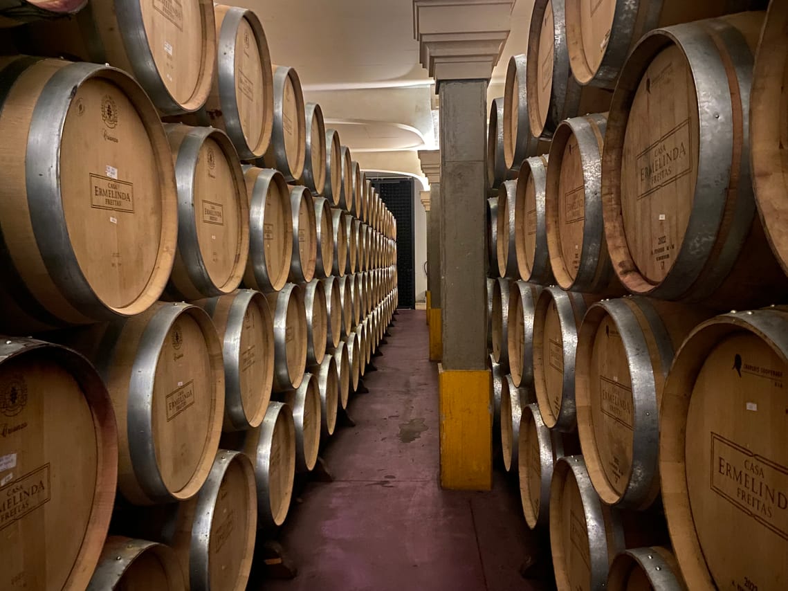 Lisbon's Northern Region Wine Tasting Private Tour 9