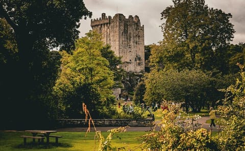 Blarney Castle Day Tour with Transportation from Dublin