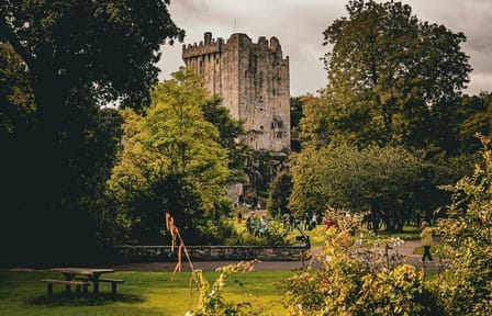 Blarney Castle Day Tour with Transportation from Dublin