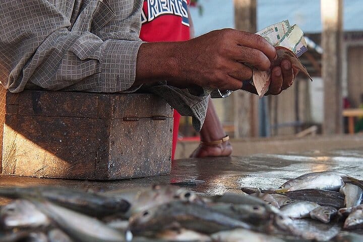Transparent Kayak Adventure and Drone Experience in Zanzibar