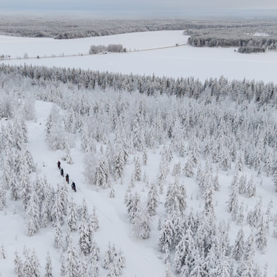 Electric Fat Biking at a Reindeer Farm in Rovaniemi - Image 10