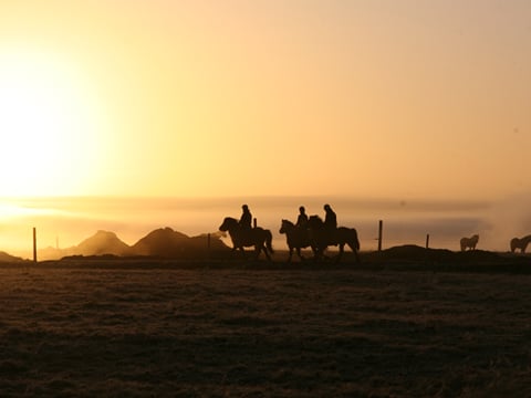 04D - Riding and Gullfoss, Geysir & Þingvellir, photo 8