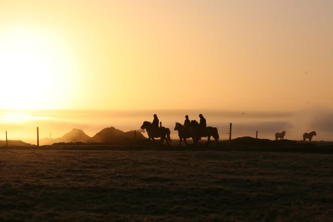 04D - Riding and Gullfoss, Geysir & Þingvellir 7