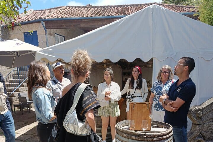 DOURO VALLEY: Premium Wine Tour, Lunch at Winery & Private Cruise