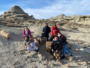 Hiking Tour of La Leona Petrified Forest from El Calafate