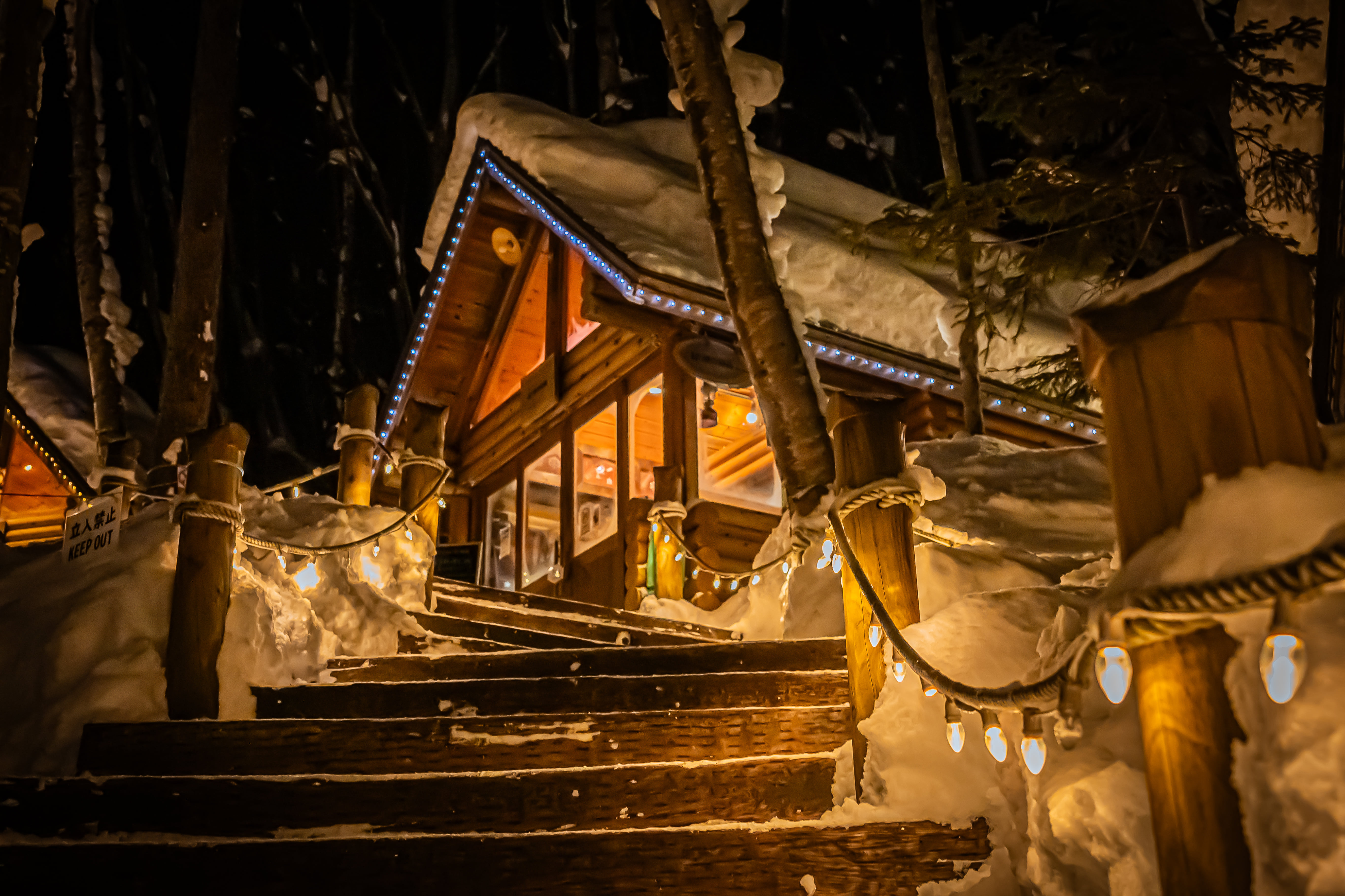 Furano Custom Day Tour