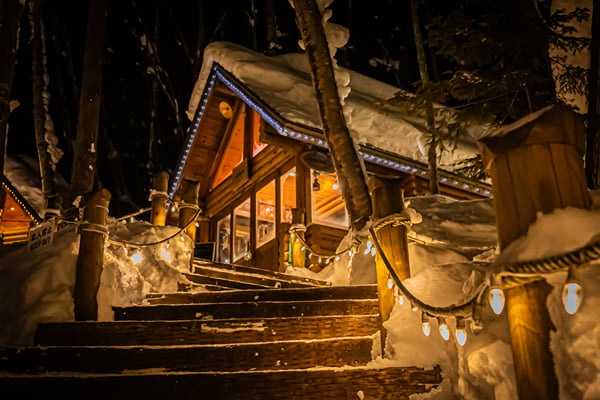 Furano Custom Day Tour