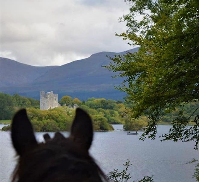 Killarney National Park horseback ride. Kerry. Guided. 3 hours. 9