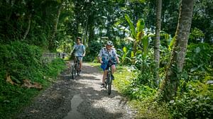 Morning Best Bali Cycling Kintamani Tour