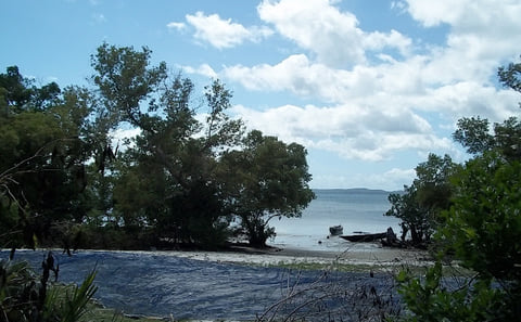 Local Fishing Market Tour, Tumbe Village: Pemba’s Daily Catch