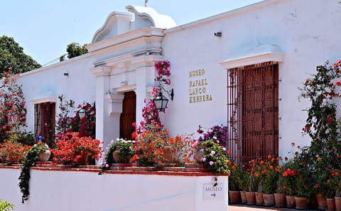 Small-Group Cultural Tour of Larco Museum and Santo Domingo Convent in Lima