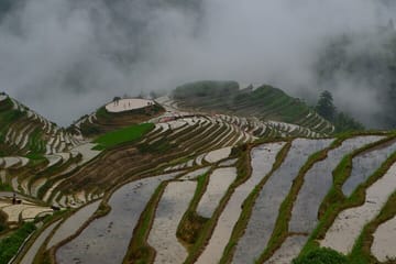 Full-Day Hiking Tour of Longji Rice Terraces in China