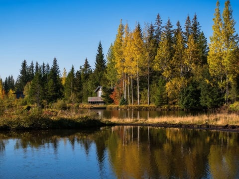 Summer nature in Þingvellir National Park with cliffs and green fields