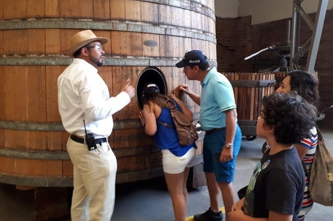 MTO Tour - Half-Day Small-Group Santa Rita Vineyard Tour