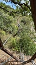 Via Ferrata El Caimán: Adventure and Scenic Beauty in Alcornocales Natural Park 10