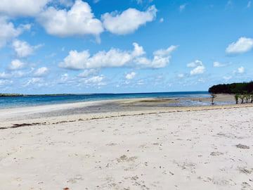Marine Park Sandbank Tour with Snorkeling, Mafia Island