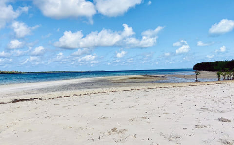 Marine Park Sandbank Tour with Snorkeling, Mafia Island