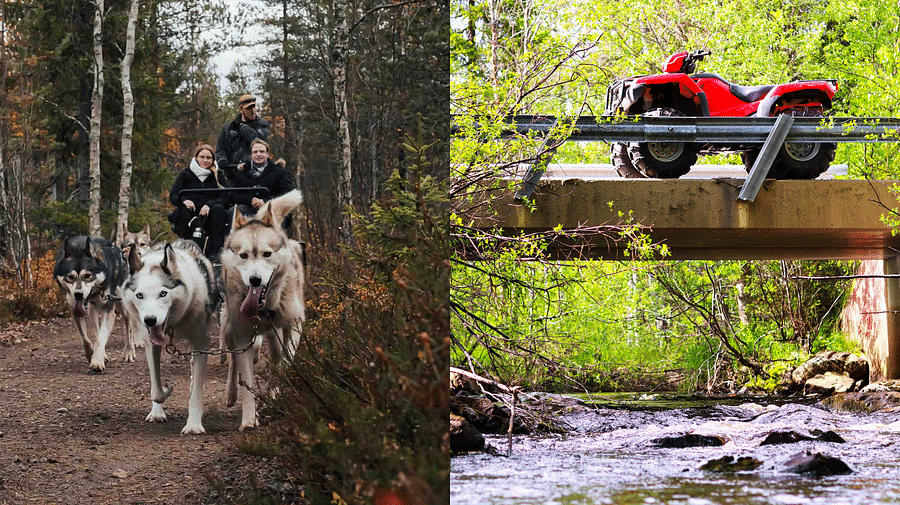 Autumn Husky ride, Husky safari, Quad bike safari, tour, Siberian Husky,  Pure Lapland, Rovaniemi Lapland