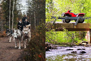 Thrilling autumn escapade with Huskies and quad bikes (Small group)