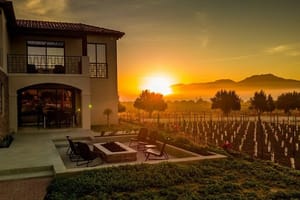 Valle de Guadalupe Premium Wine and Vineyard Wagon Tour