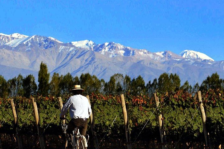 Private Agritourism Experience: Biking, Cooking, and Wine Tasting in Mendoza