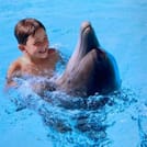 Premium 5 Minutes Dolphin Swimming Experience - Hurghada 4