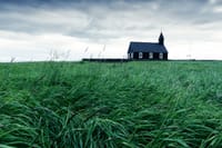 The Black Church