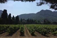 Heritage, wines and gastronomy - 3-day tour 3