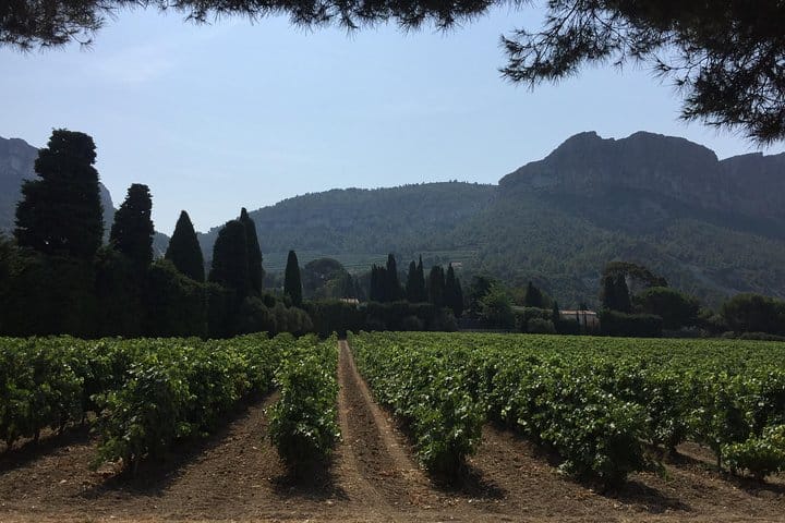 Heritage, wines and gastronomy - 3-day tour 3